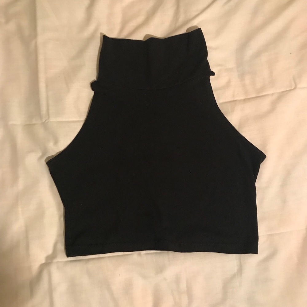 American Apparel Crop Top Turtleneck